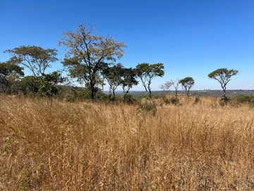 Farm & Agricultural Land