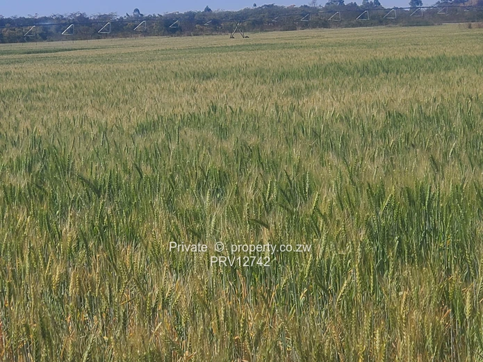 7.3ha Agro Plot Approved with Approved Sub Division permit in Marondera Priced @ $12000/ha (Sole Mandate)
