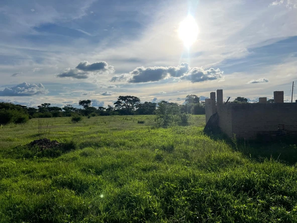 Farm & Agricultural Land