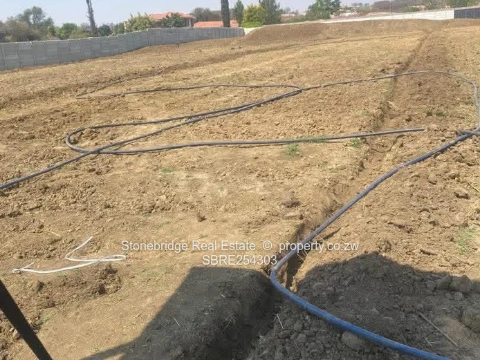 4000sqm Vacant Land in Buena Vista For Sale