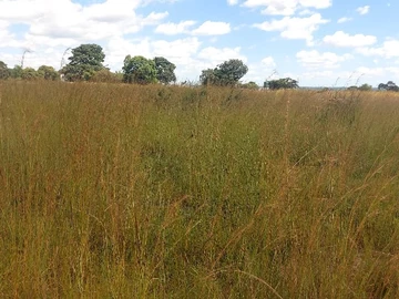 Farm & Agricultural Land