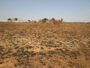 Farm & Agricultural Land