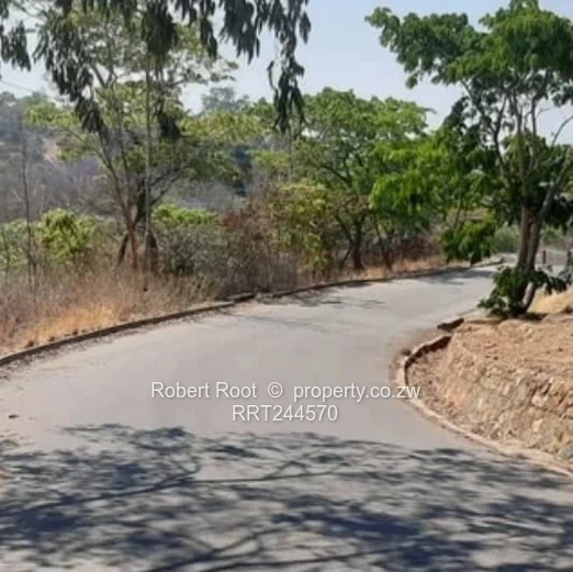 Prime 1-Hectare Stand in Umwinsdale