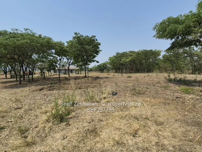 4800 m² Stand in Galloway — Norton