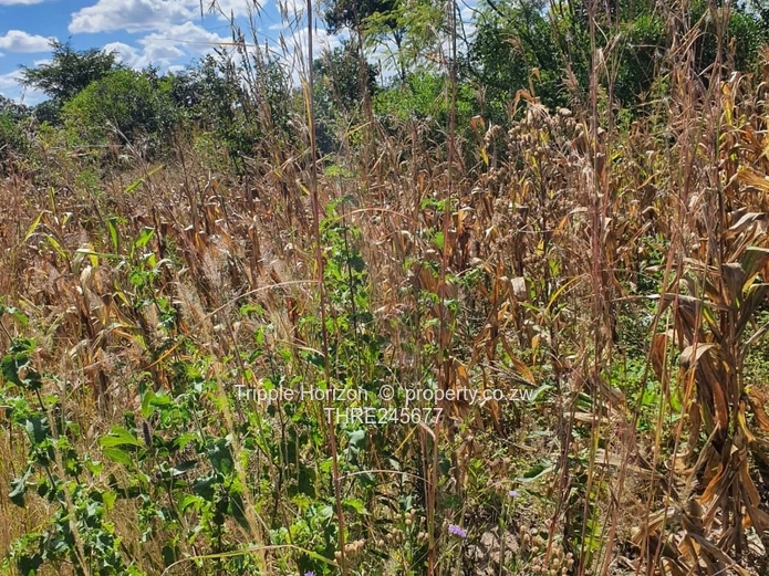 1000m² Stand in Crowhill Views — Gravel Road Access