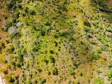 Commercial & Industrial Land