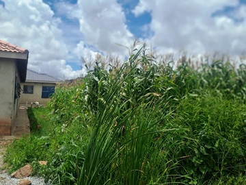 Stands & Residential Land