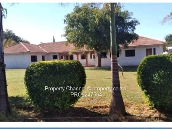 Exclusive Sabona bona Investment Opportunity 