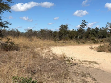 Farm & Agricultural Land