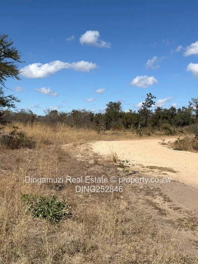 23 hectare plot in Beatrice 