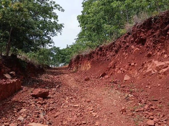 Stands & Residential Land
