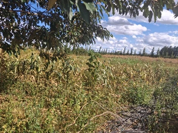 Farm & Agricultural Land