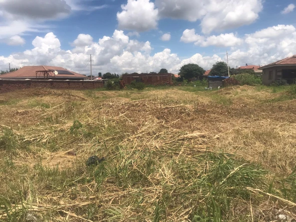 Stands & Residential Land