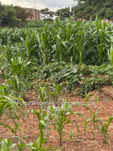 Commercial land for sale -Kuwadzana  (Sole Mandate)