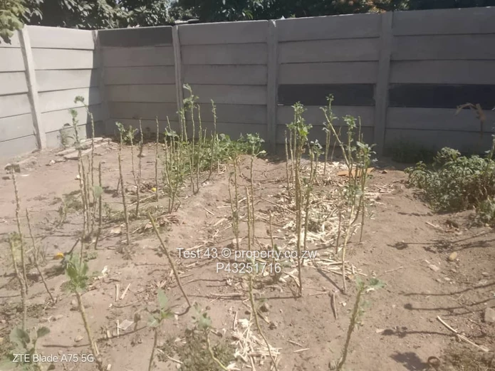 Secure Walled 2-Bed Home with Yard in Chitungwiza