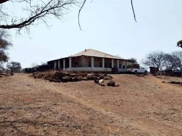 Farm & Agricultural Land