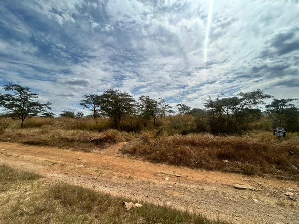 Commercial & Industrial Land