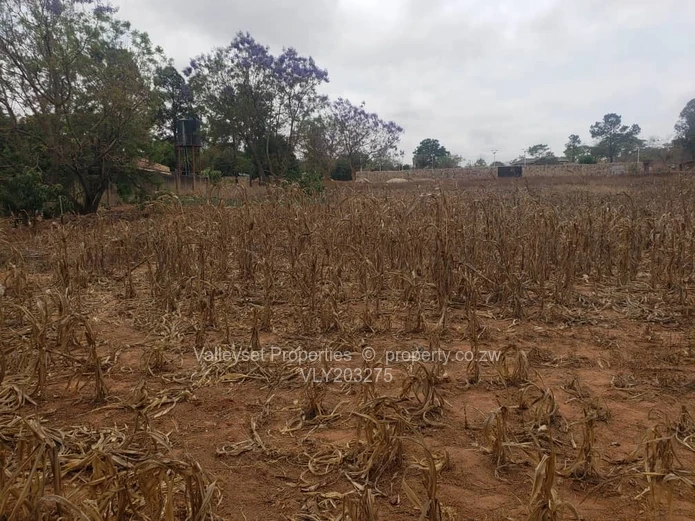 2000 m² Residential Land for Sale in Upscale Borrowdale, Harare North
