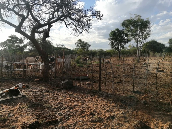 Farm & Agricultural Land