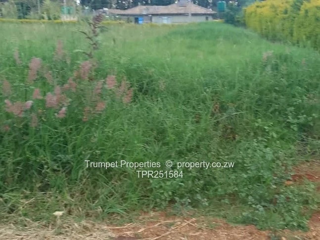 Leafy 3000m² Glen Lorne Stand — Tarred Road, Subdividable