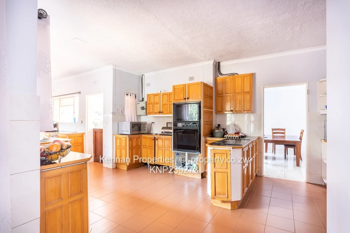 Potential On Arcturus Road - Nostro!