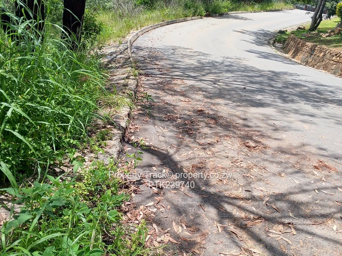 Excellently Positioned!