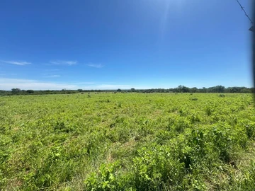 Bulawayo Farm For Sale