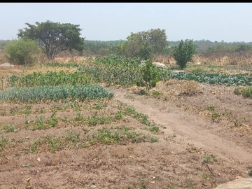 Farm & Agricultural Land