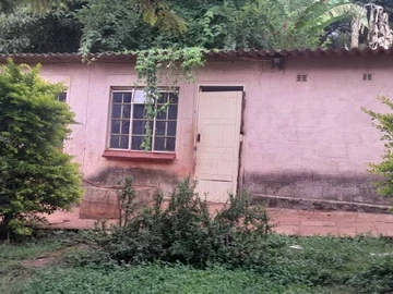 Farm & Agricultural Land