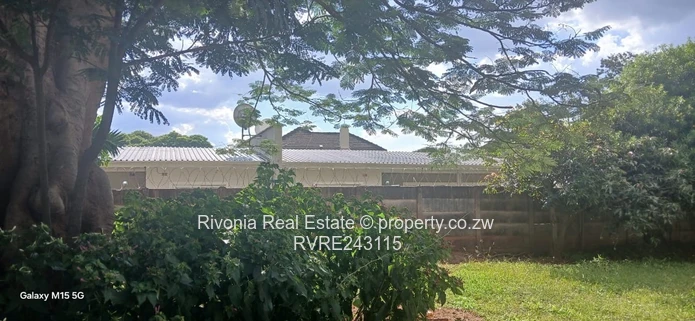 Lush 4217m² Meyrick Park Stand with Mature Shade Tree