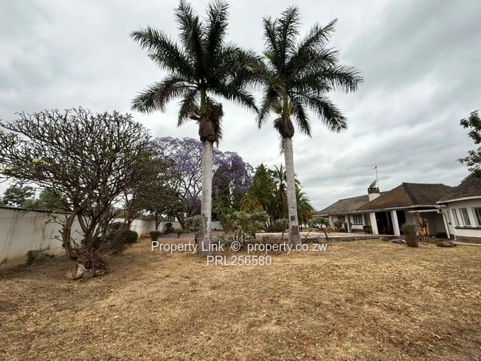 Main Road Frontage / Corner Property 