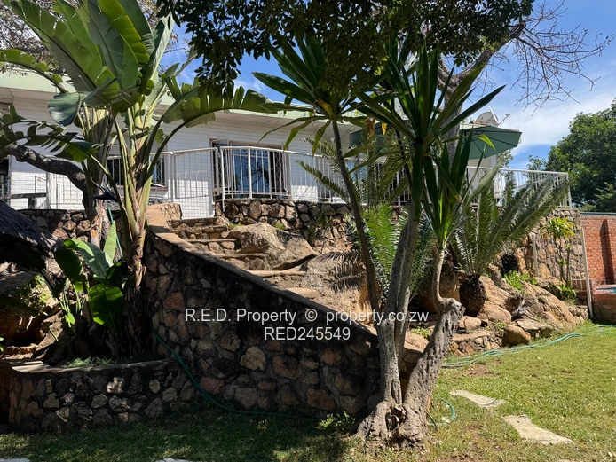 Business and Executive