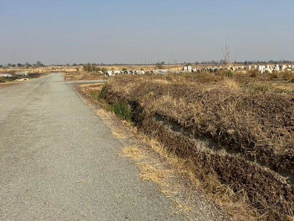 Stands & Residential Land