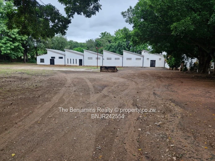 Strategic Space for Expanding Enterprises