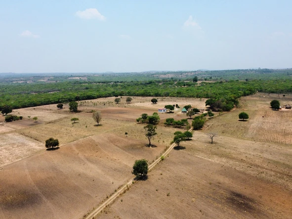 Farm & Agricultural Land