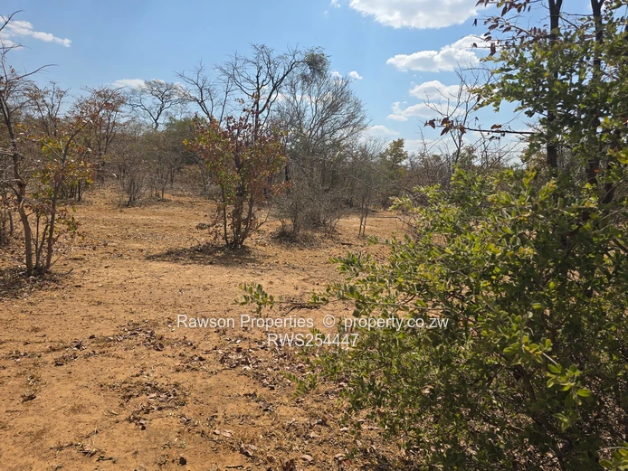 Don't Delay To Offer This Farm!!