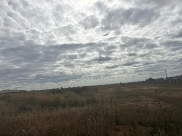 Land