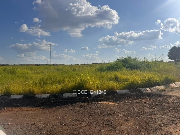 Glaudina Stands For Sale (Sole Mandate)