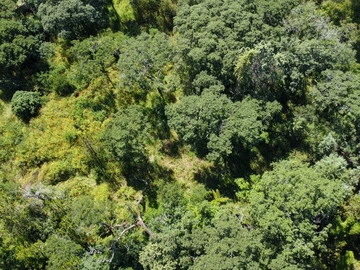 Stunning plot in the heart of Umwinsidale