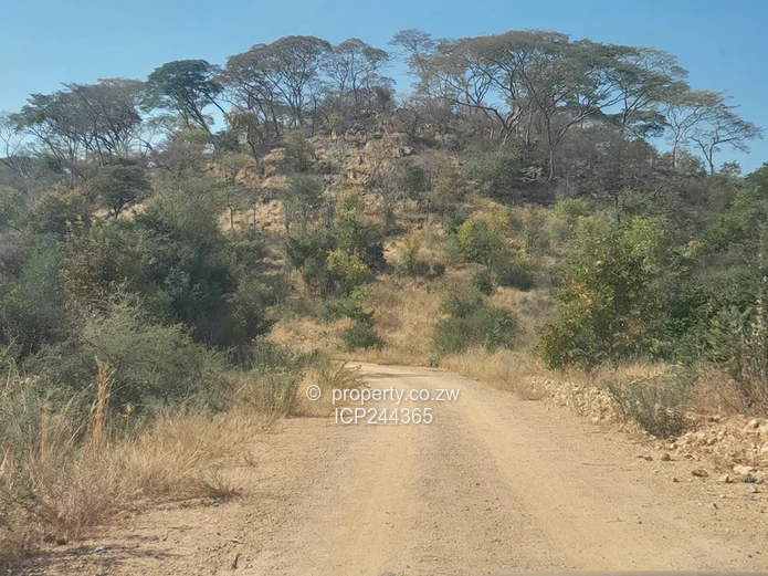 1181m² Low density residential stand for sale in Kadoma (Sole Mandate)