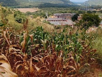 Commercial & Industrial Land