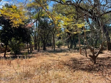 Commercial & Industrial Land