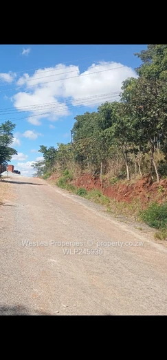 An opportunity not to miss