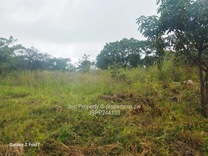 Manresa 2,169 m² Stand on Tarred Road – Sloping, Treed (Sole Mandate)