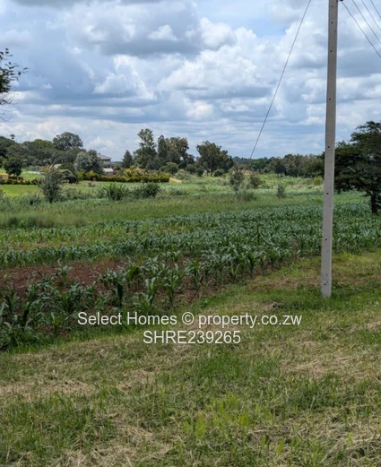 Grange Land For Sale