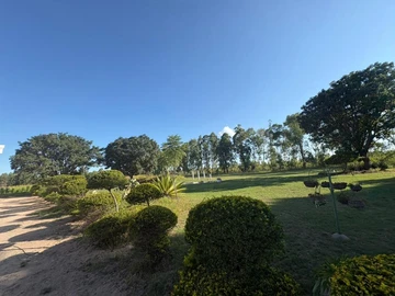 Farm & Agricultural Land