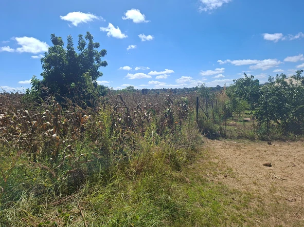 Farm & Agricultural Land