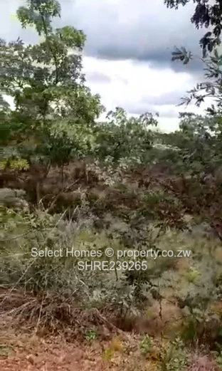 Shawasha Hills Land For Sale