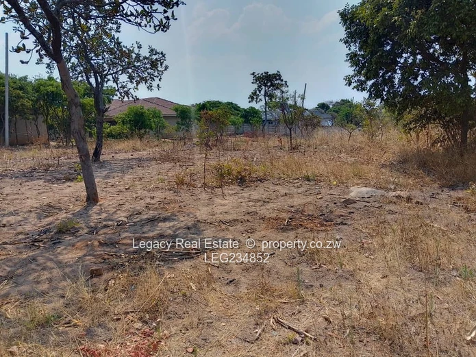 Crowhill 1300sqm Stand – Affordable Deal with Full Paperwork!