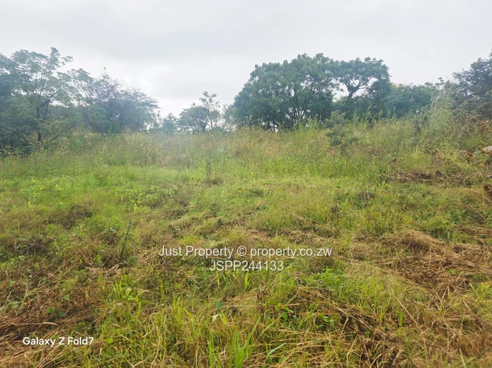 Manresa 2,169 m² Stand on Tarred Road – Sloping, Treed (Sole Mandate)